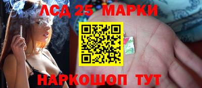 мяу мяу мука Апшеронск