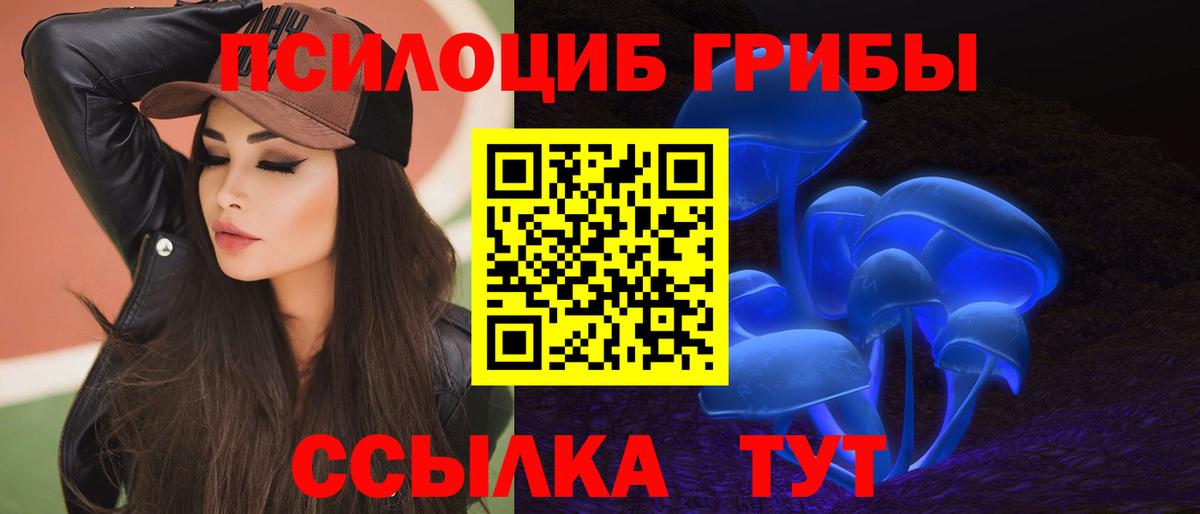 Псилоцибиновые грибы Psilocybine cubensis  Псилоцибиновые грибы ЛСД  как найти наркотики  Вход с VPN  Асино 